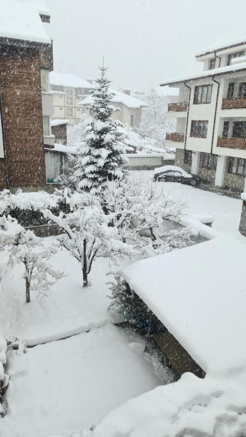 Refurbished Studios, Mountain View Balconies, Minutes From Gondola Bansko Exterior foto